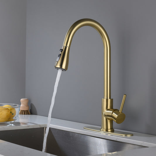Kitchen Sink Faucet